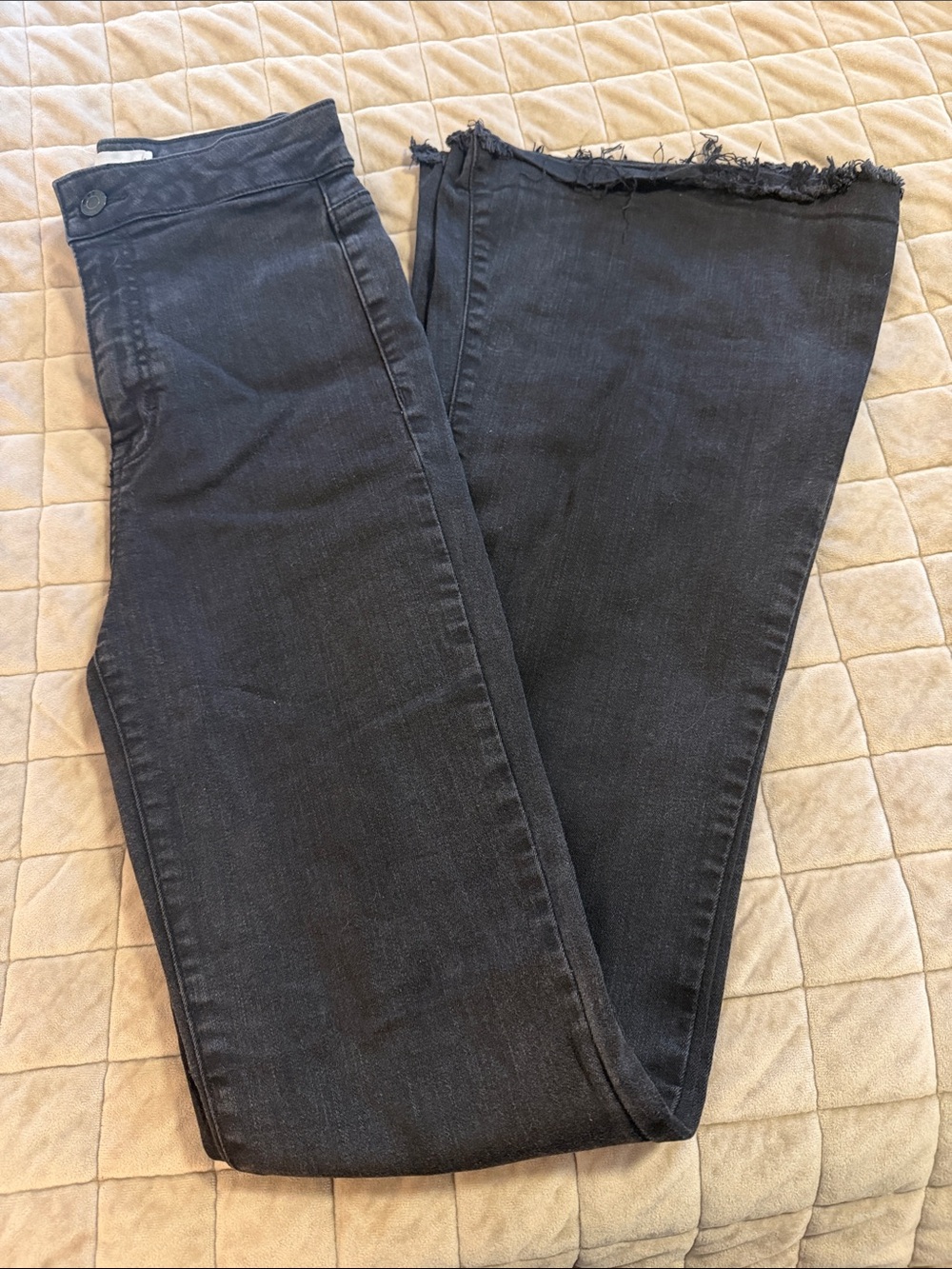 Cello Black Flare Jeans with Raw Hem